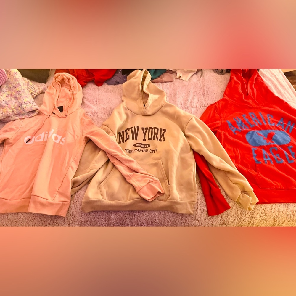 Beige New York Hoodie, Peachy Adidas Hoodie, & Red American Eagle Hoodie